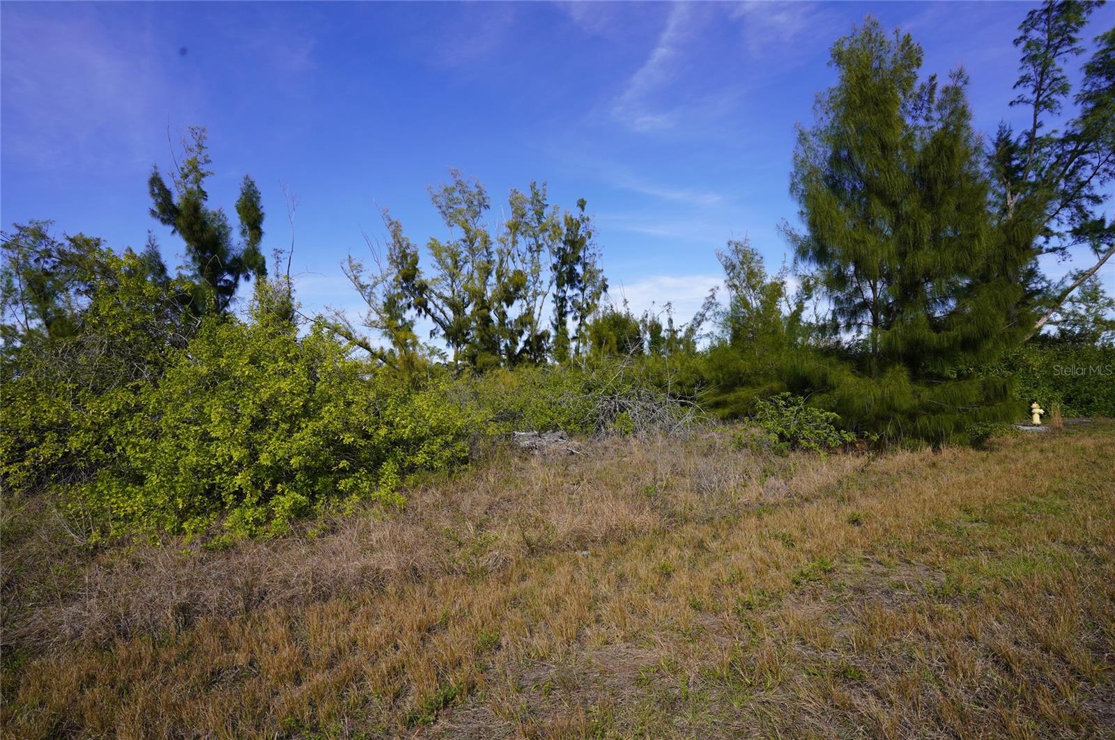 10565 ABELLO RD, PORT CHARLOTTE, FL — photo 4
