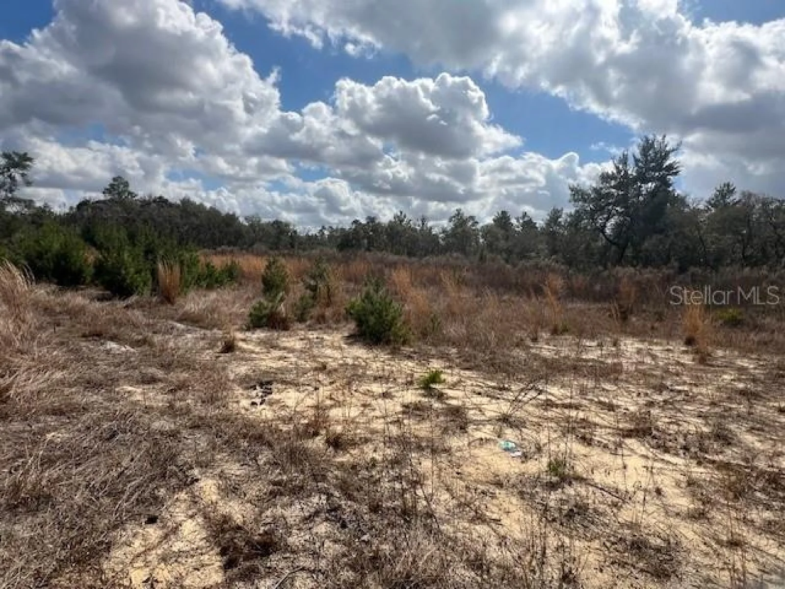 351 MARION OAKS BLVD, OCALA, FL — photo 8