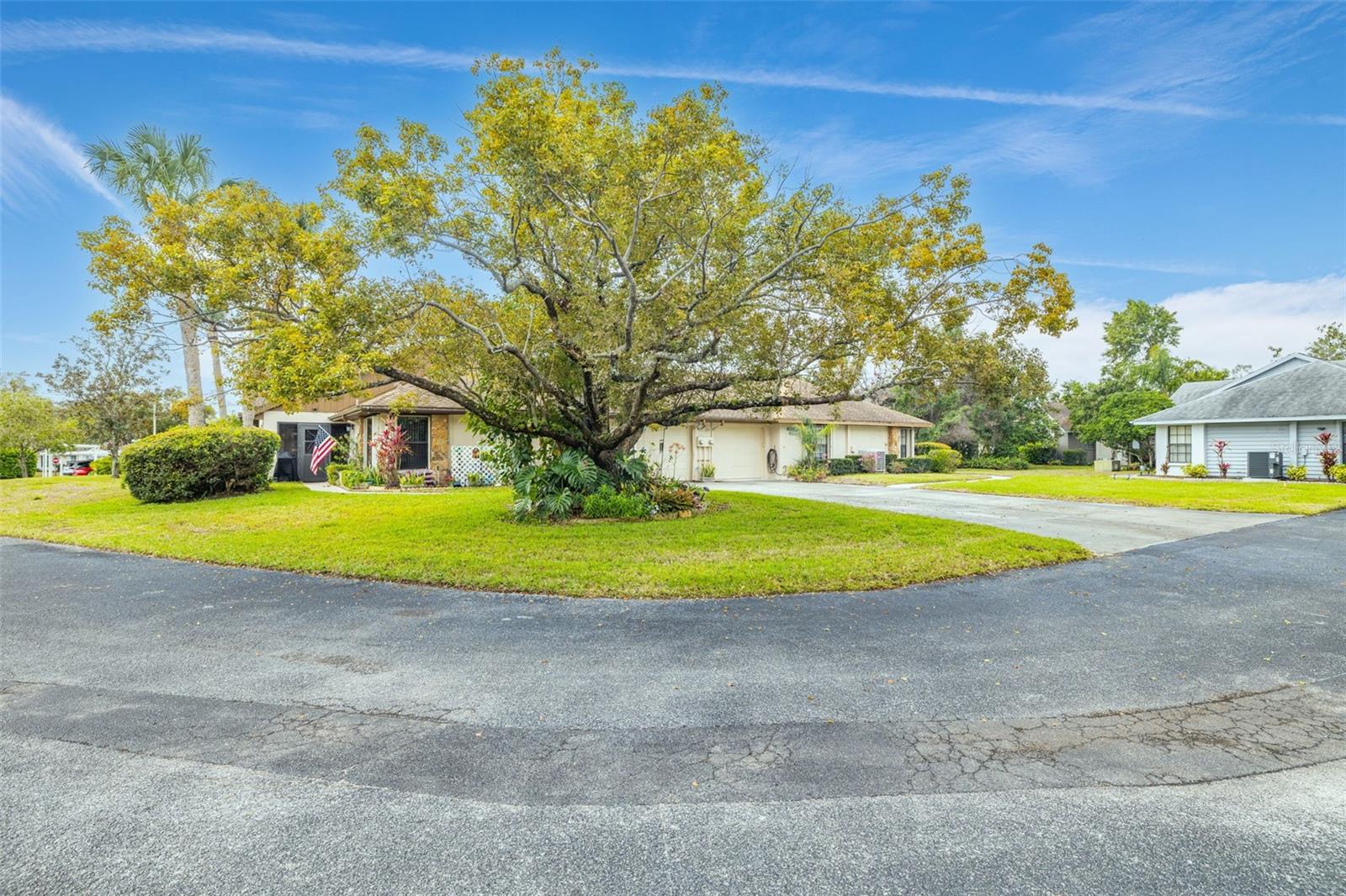 7703 ROCKVILLE CT, NEW PORT RICHEY, FL — photo 25