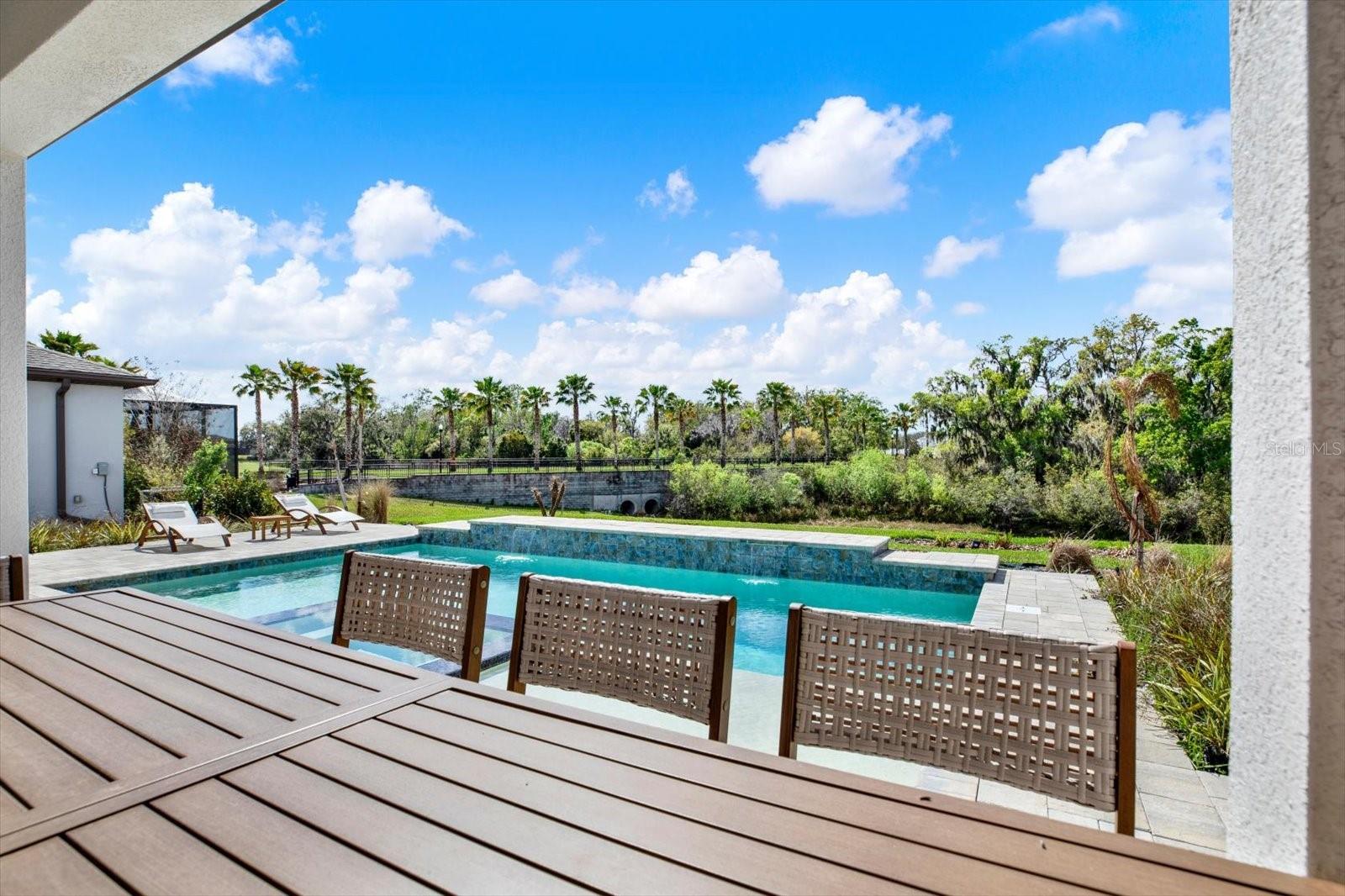 13113 WILDFLOWER MEADOW DR, RIVERVIEW, FL — photo 60