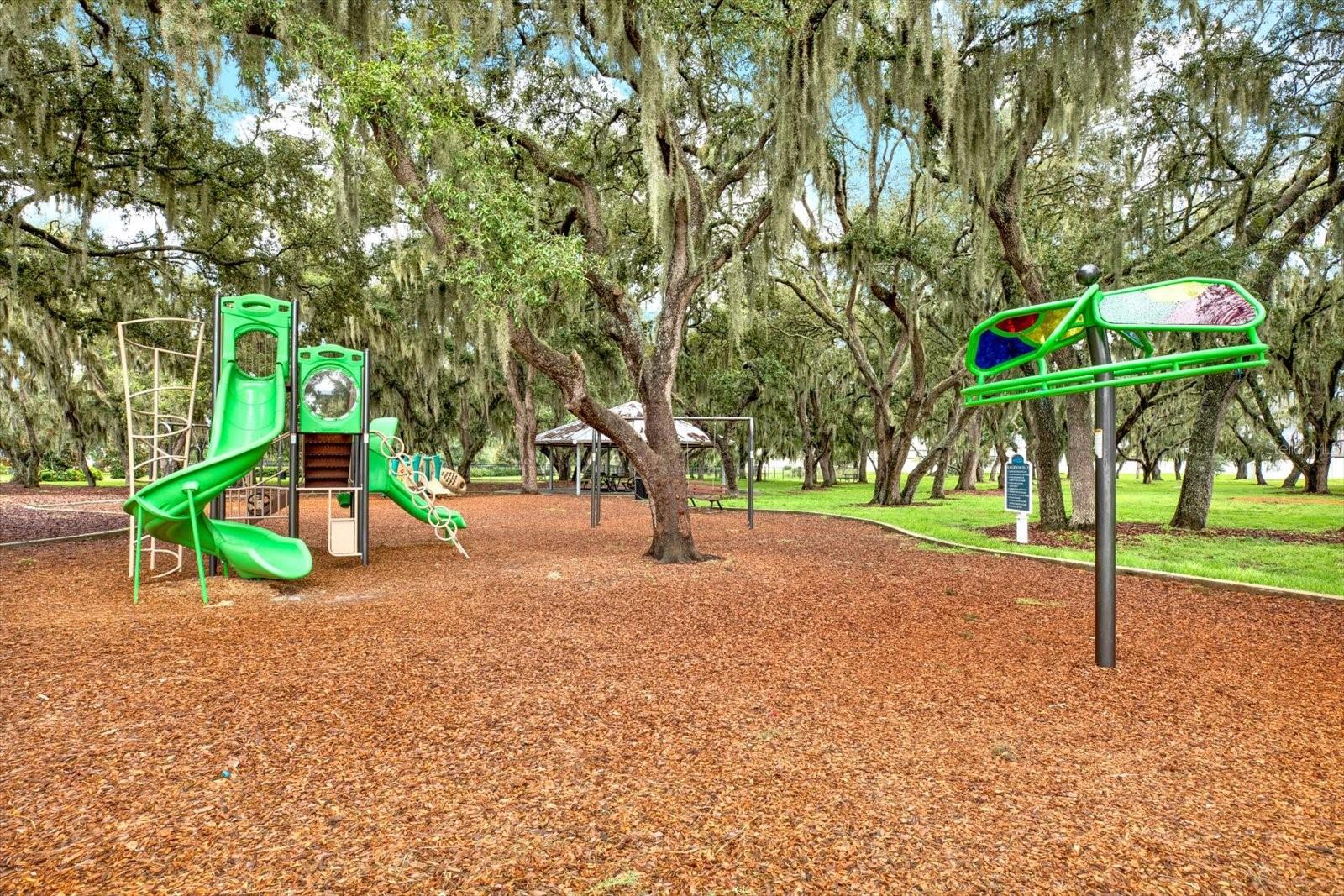 13113 WILDFLOWER MEADOW DR, RIVERVIEW, FL — photo 80