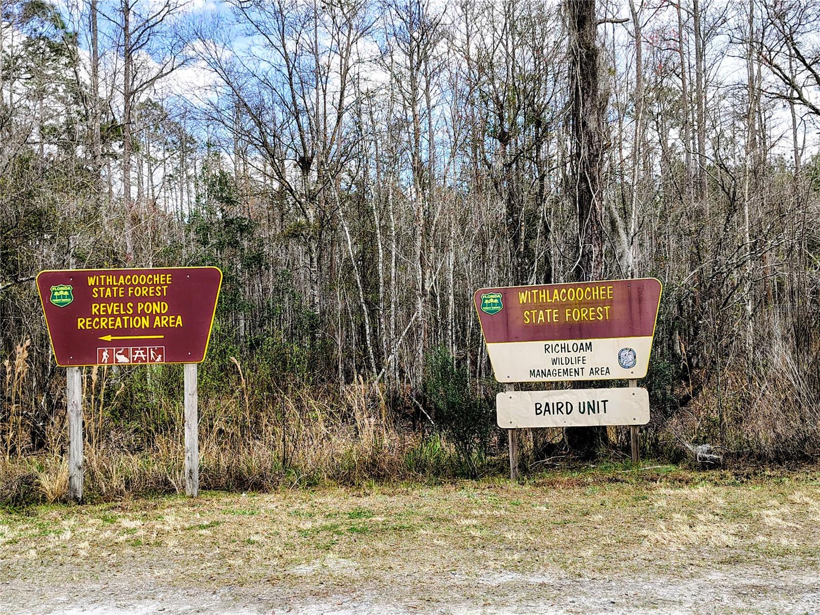 14240 SR 471, WEBSTER, FL — photo 29