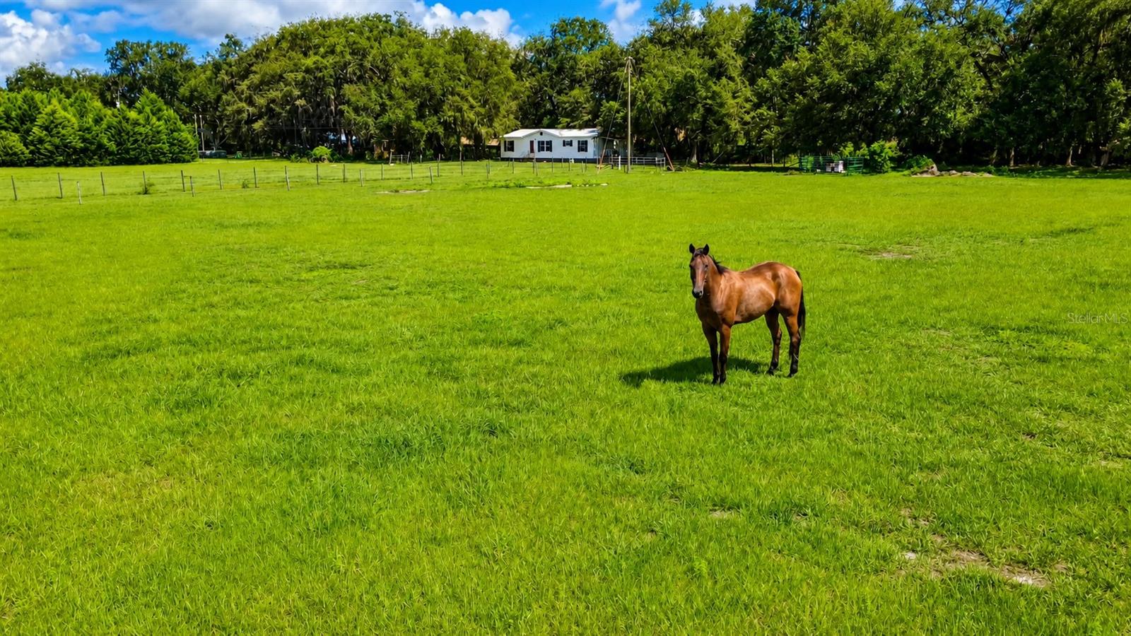 14240 SR 471, WEBSTER, FL
