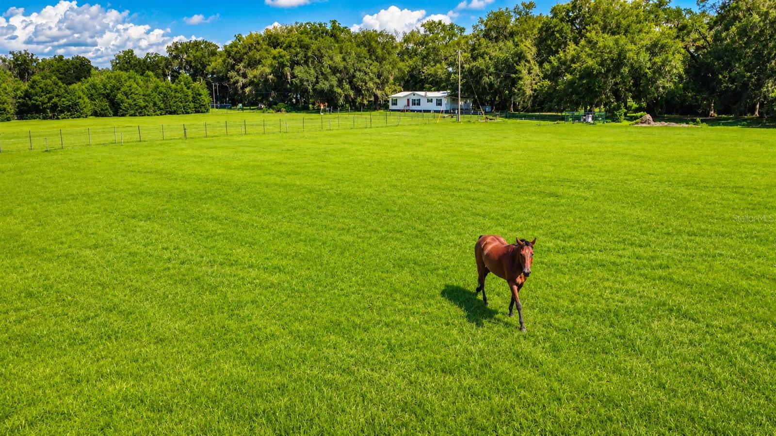 14240 SR 471, WEBSTER, FL — photo 4