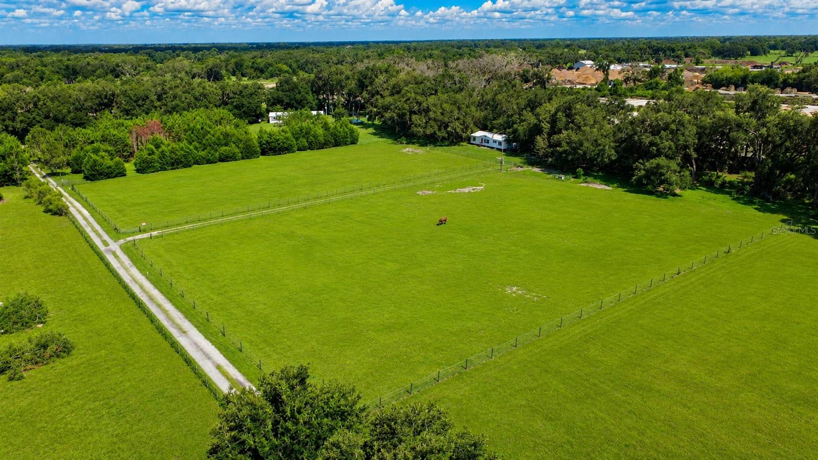 14240 SR 471, WEBSTER, FL — photo 7
