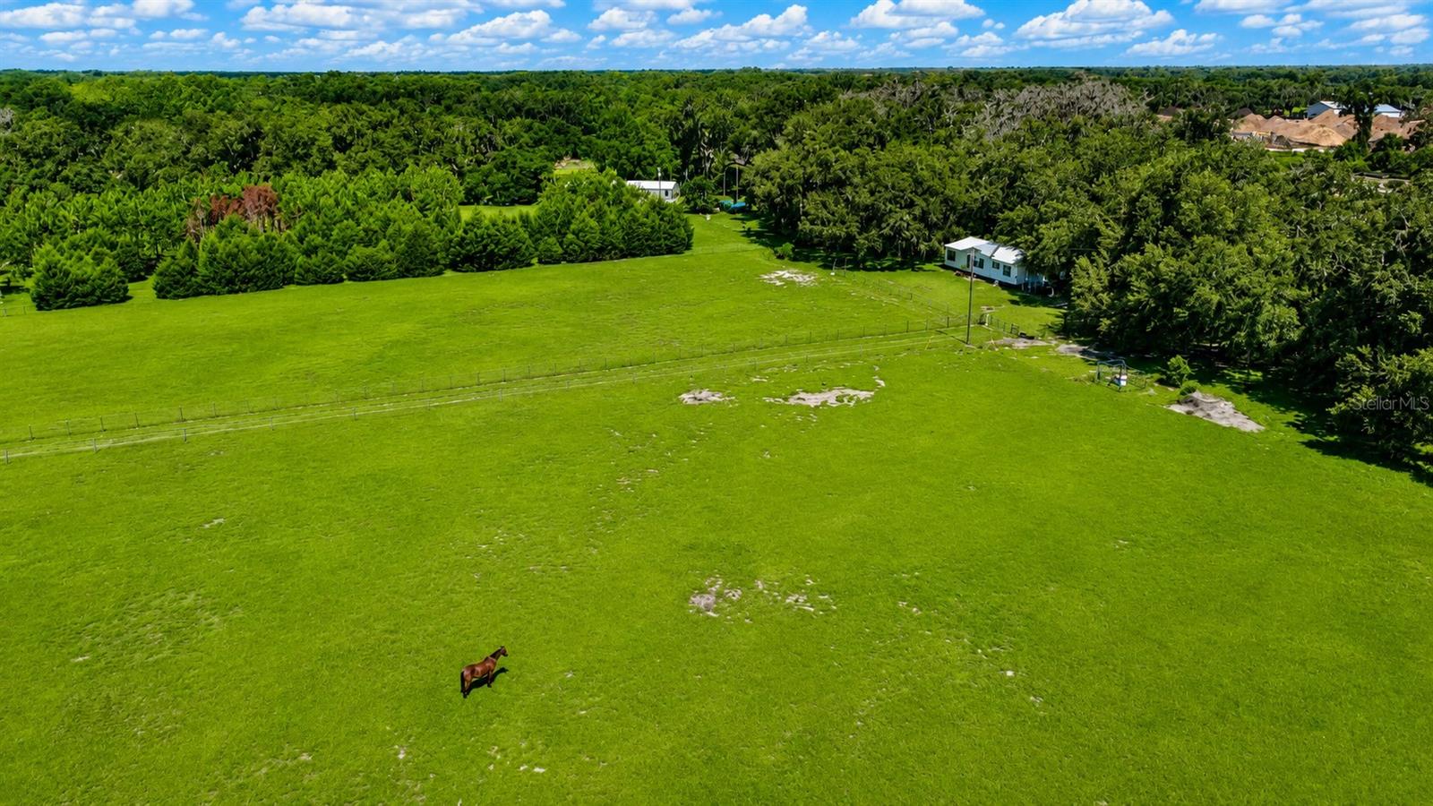 14240 SR 471, WEBSTER, FL — photo 8