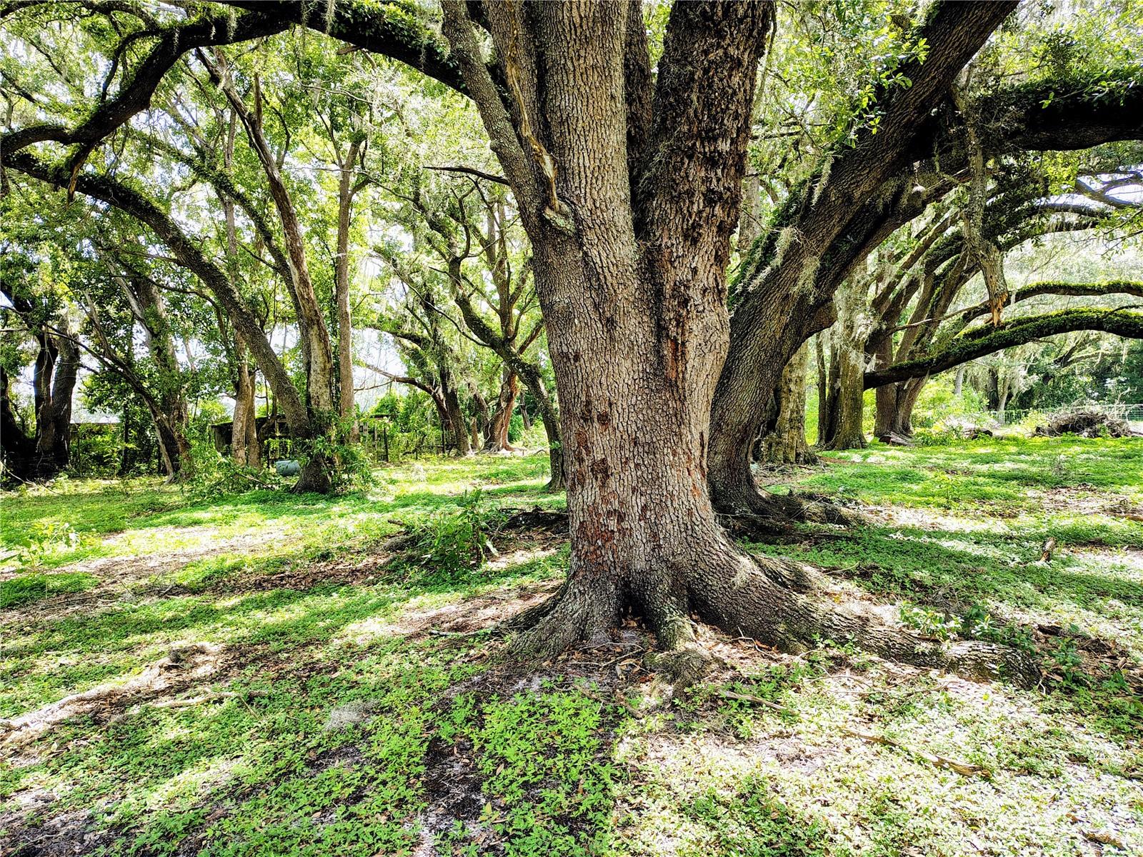 14240 SR 471, WEBSTER, FL — photo 12