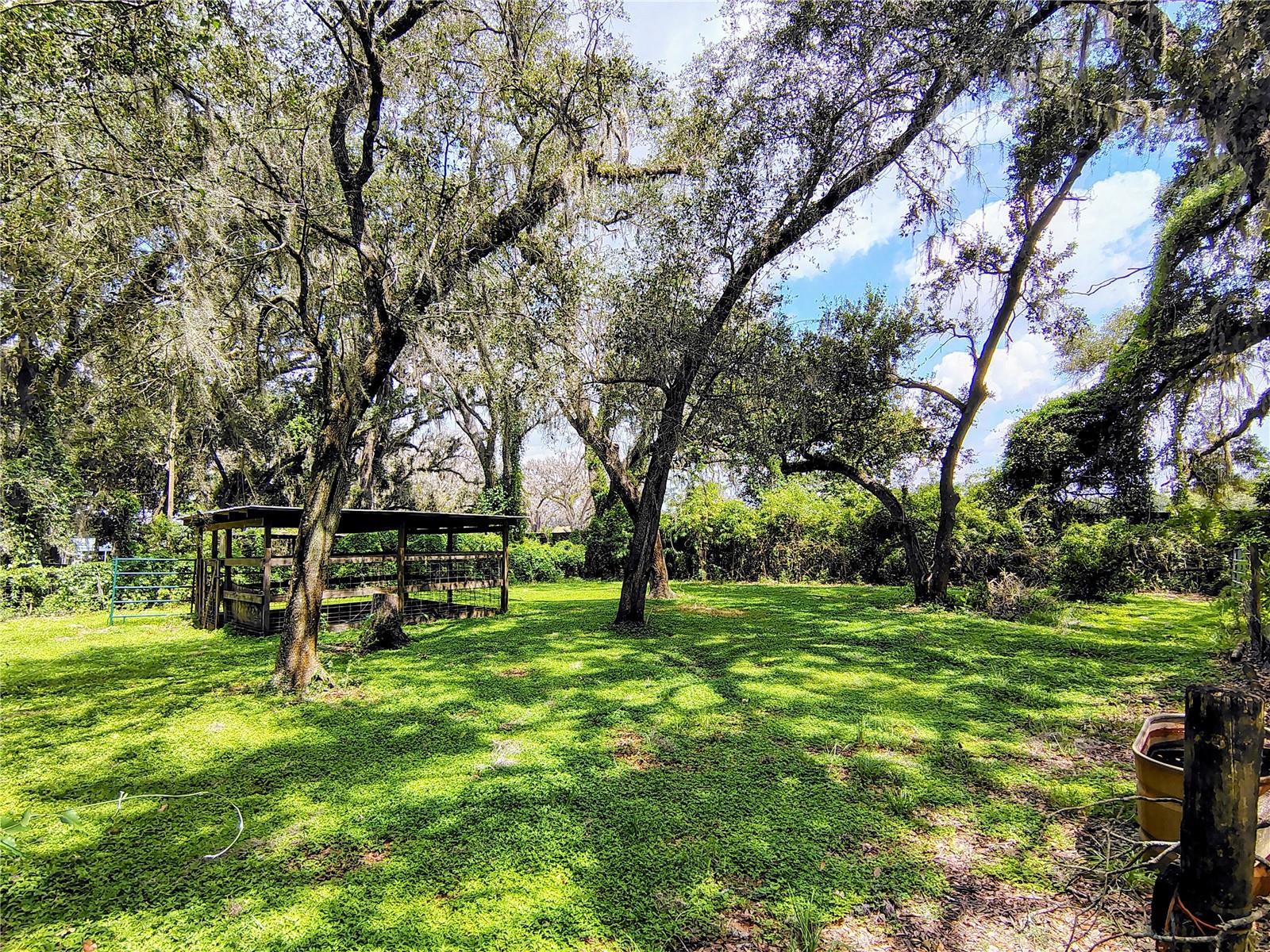 14240 SR 471, WEBSTER, FL — photo 13