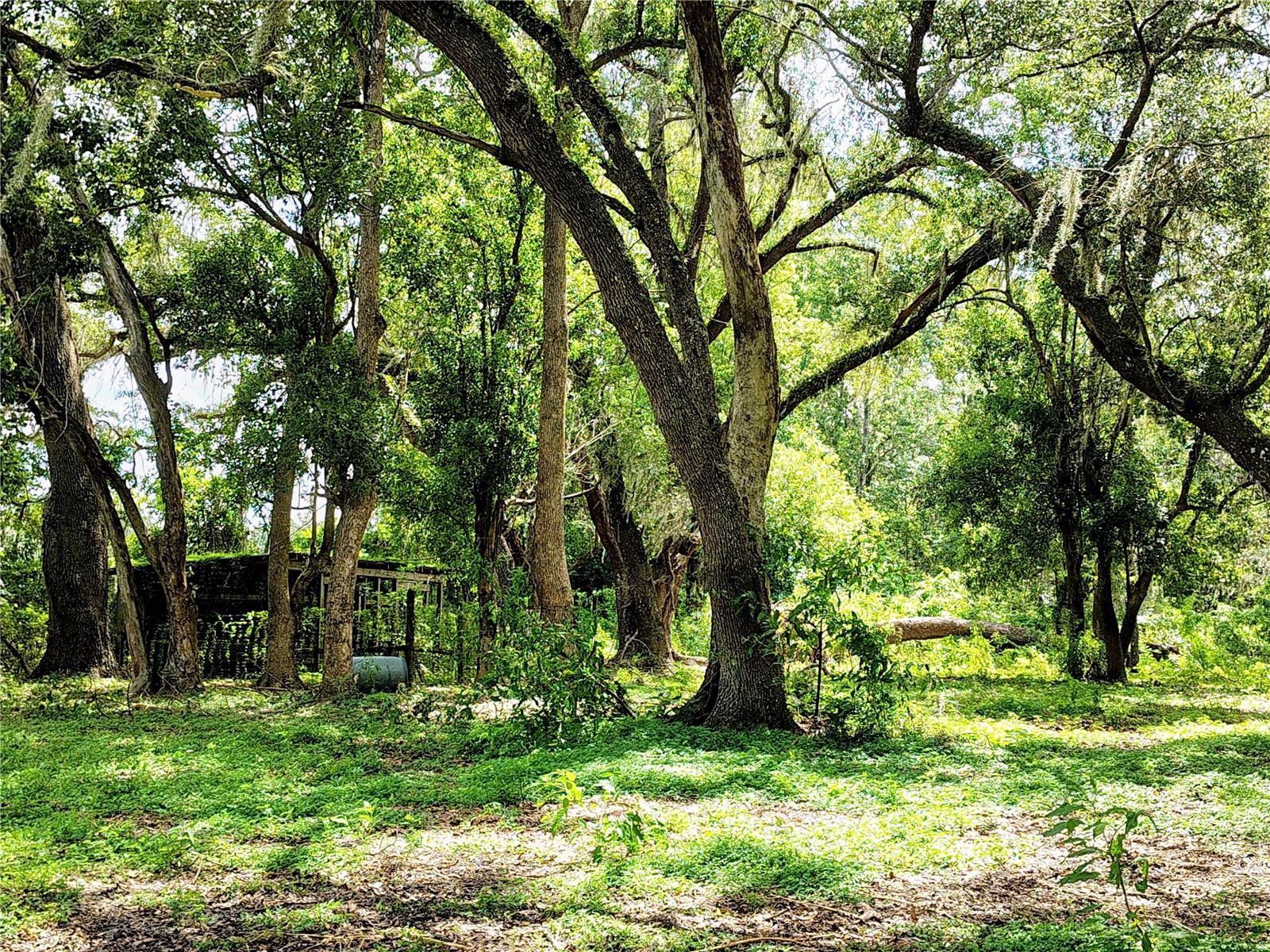 14240 SR 471, WEBSTER, FL — photo 14