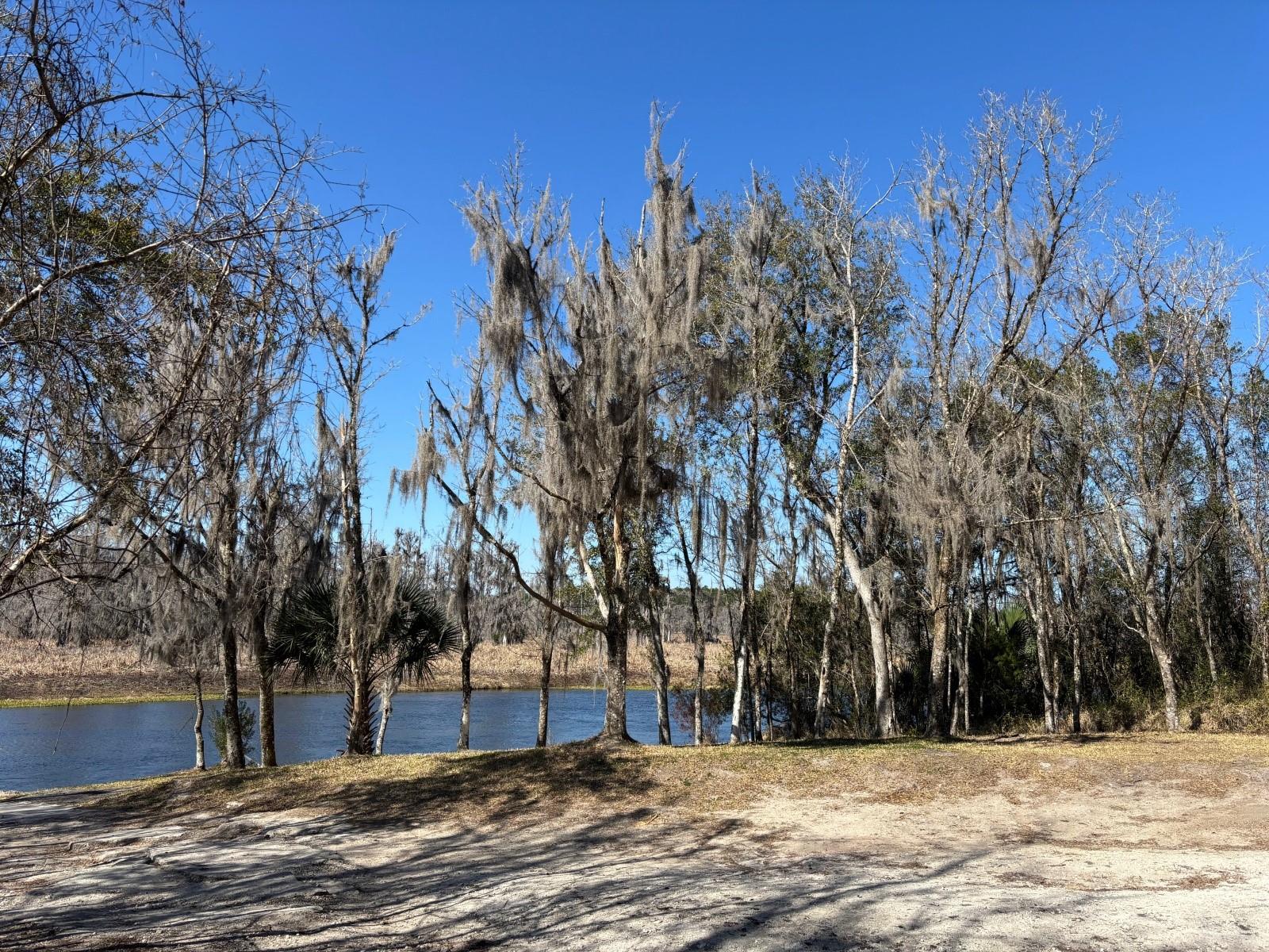 14500 NE 188TH PL, FORT MC COY, FL — photo 35