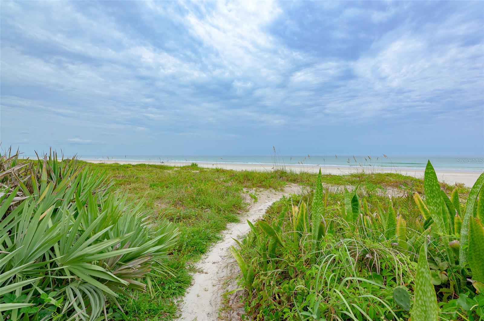 4799 S ATLANTIC AVE #3030, PONCE INLET, FL — photo 23