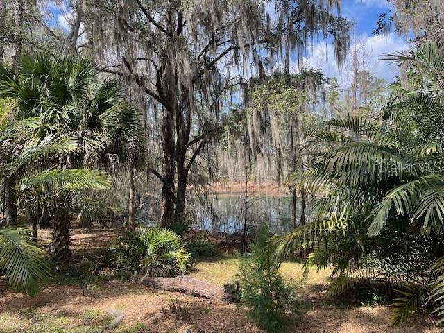 2049 NW 9TH AVE, GAINESVILLE, FL — photo 2