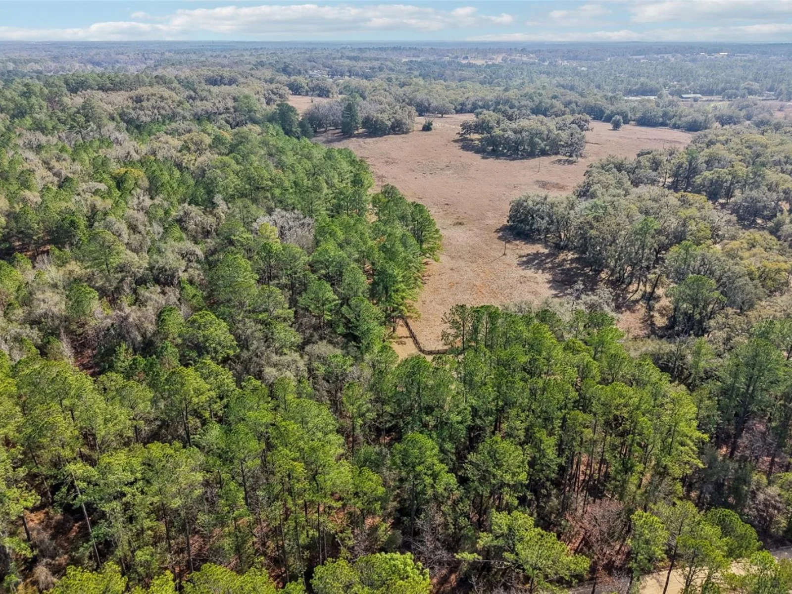 0 SW 150 CT, OCALA, FL — photo 4