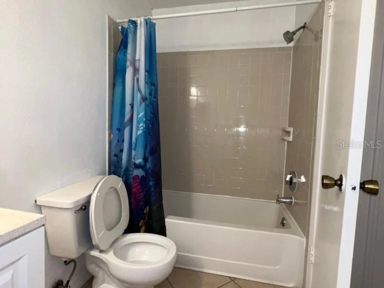 2101 CASCADES BLVD #103, KISSIMMEE, FL — photo 23