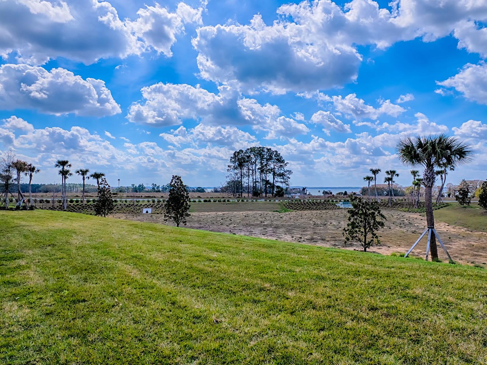 1599 BELLAGIO LOOP, TAVARES, FL — photo 4