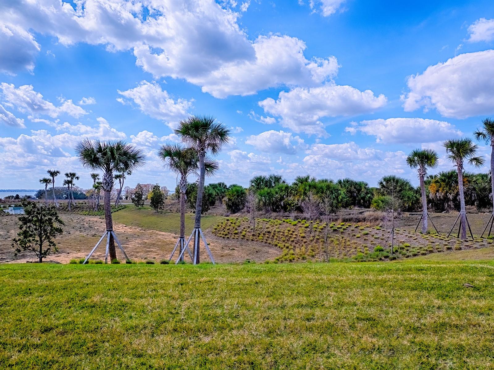 1599 BELLAGIO LOOP, TAVARES, FL — photo 73
