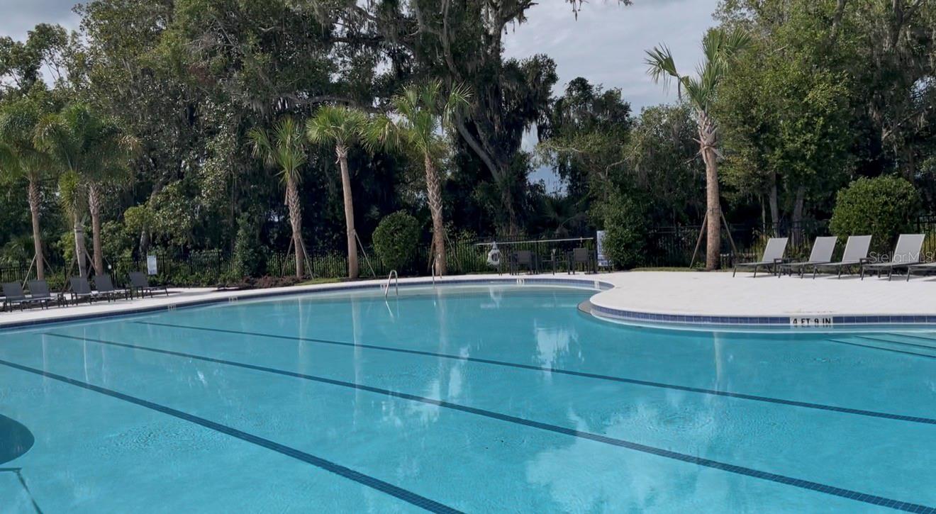 1599 BELLAGIO LOOP, TAVARES, FL — photo 120