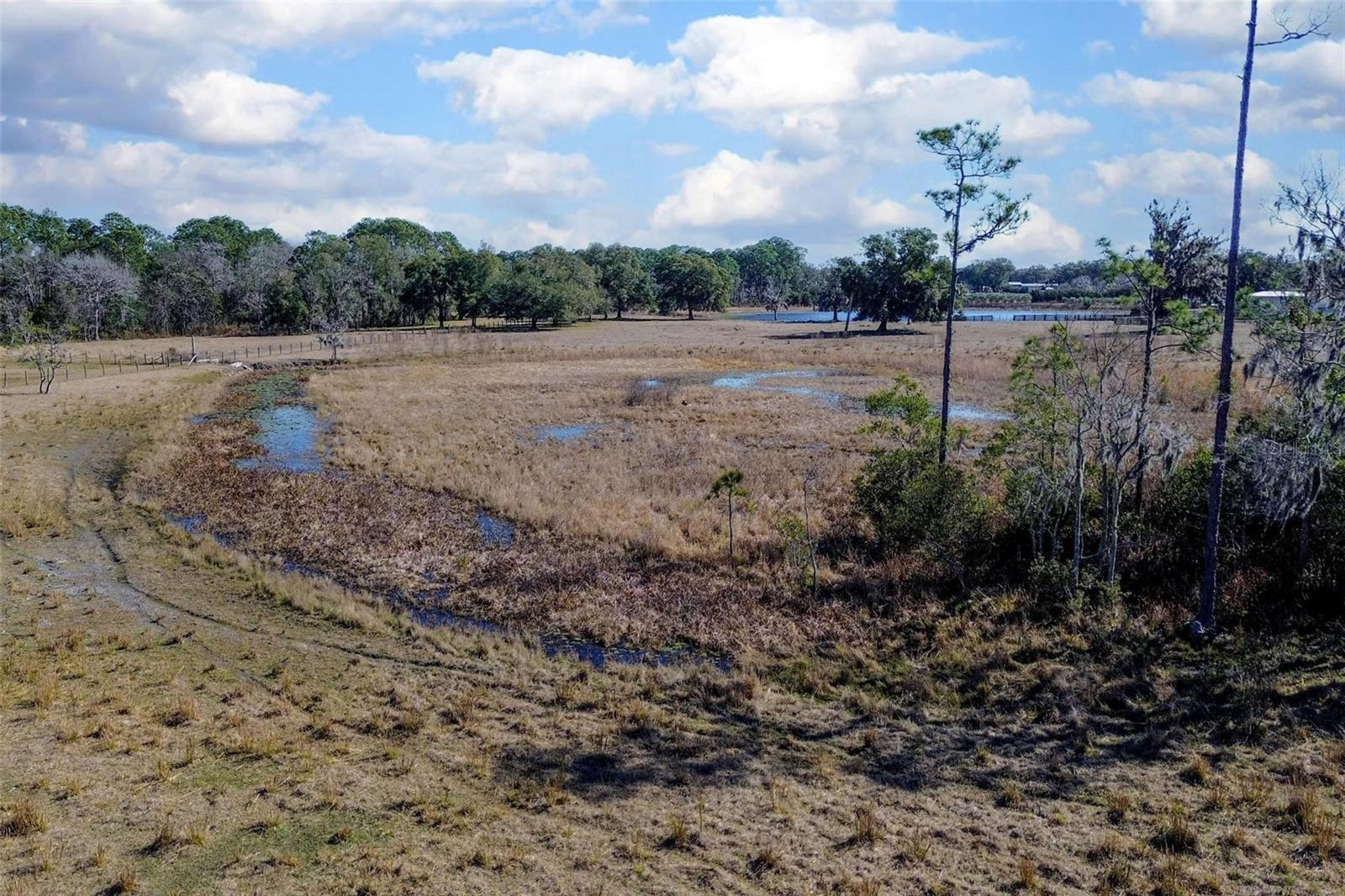 CARTER RD, DELAND, FL — photo 14