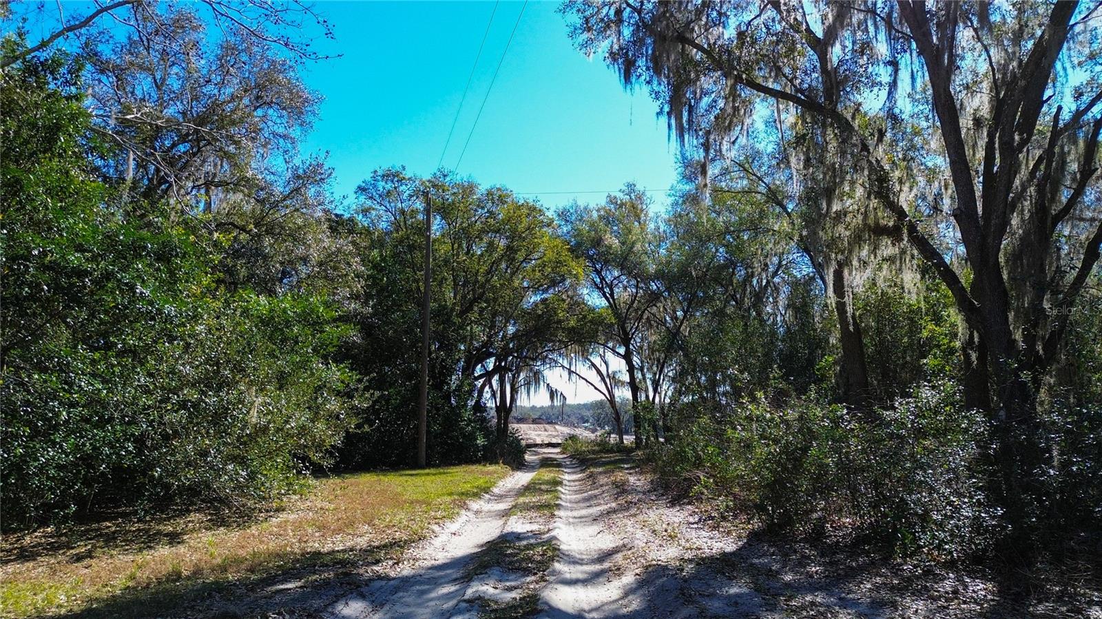 39725 CLAY AVE N, LADY LAKE, FL — photo 5