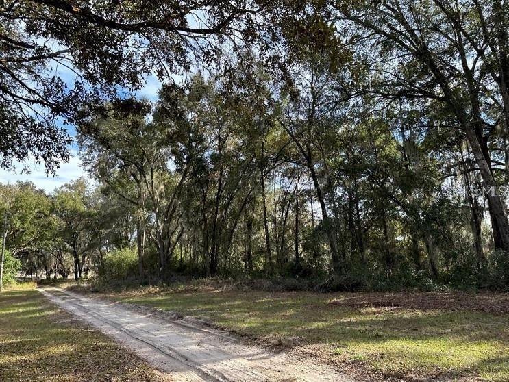39725 CLAY AVE N, LADY LAKE, FL — photo 46