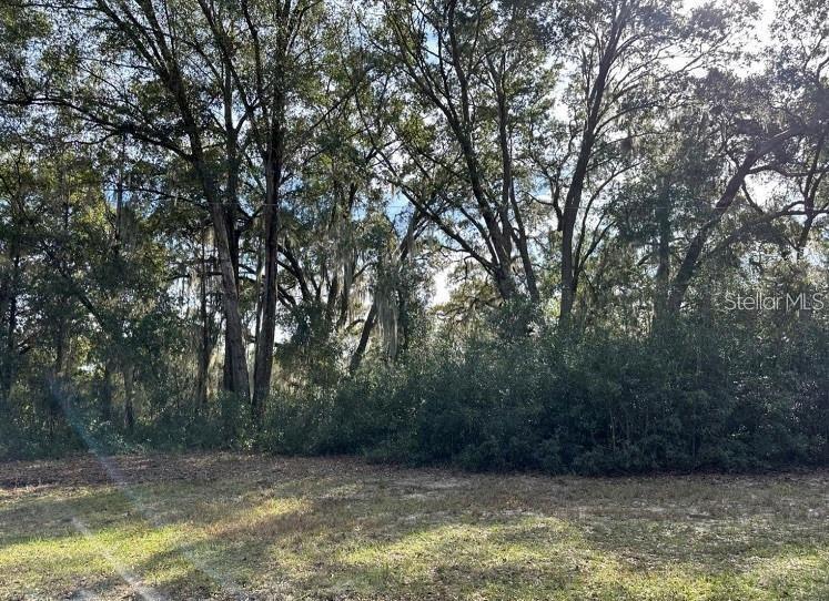 39725 CLAY AVE N, LADY LAKE, FL — photo 47
