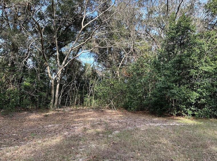 39725 CLAY AVE N, LADY LAKE, FL — photo 49