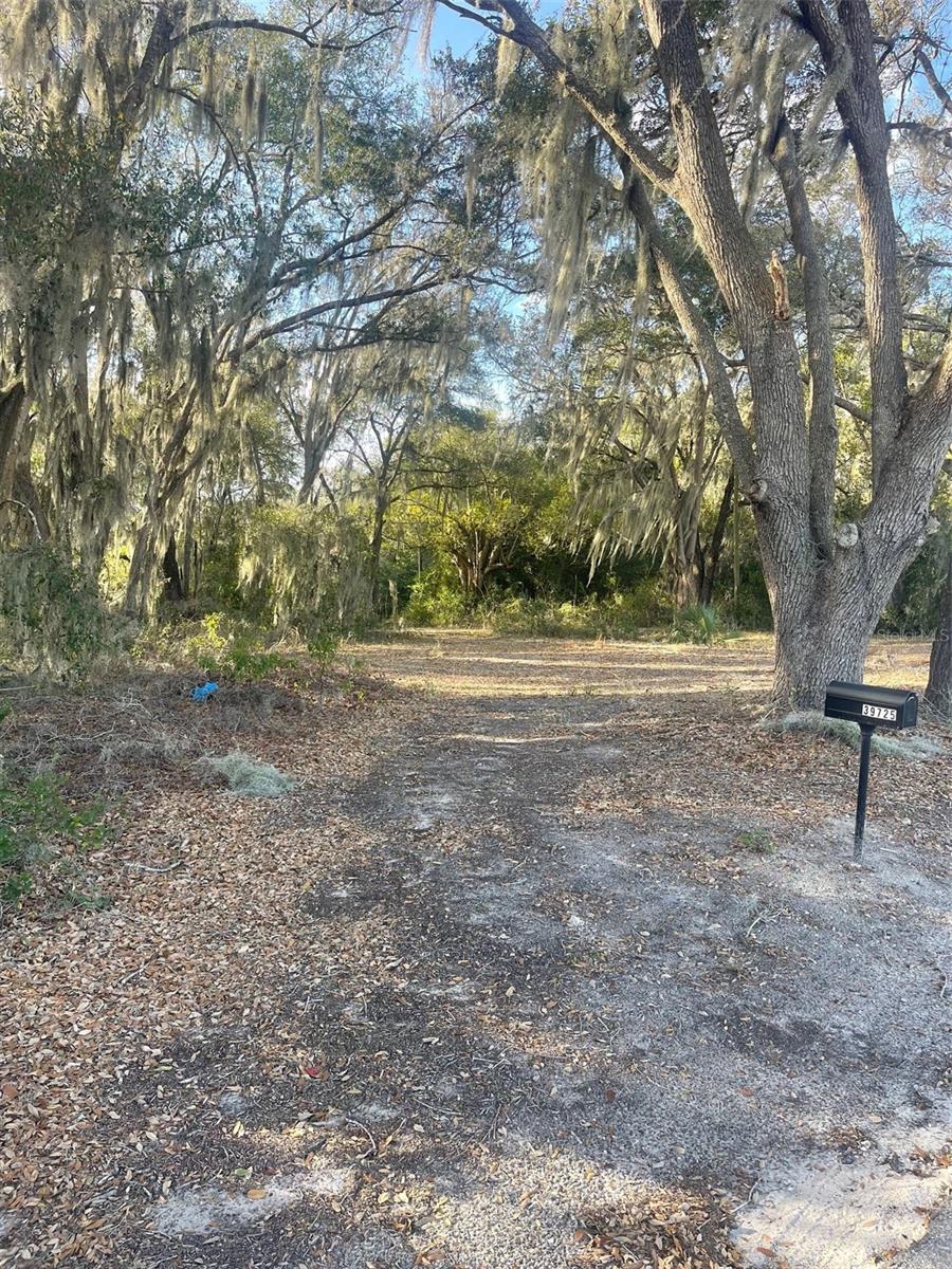 39725 CLAY AVE N, LADY LAKE, FL — photo 59