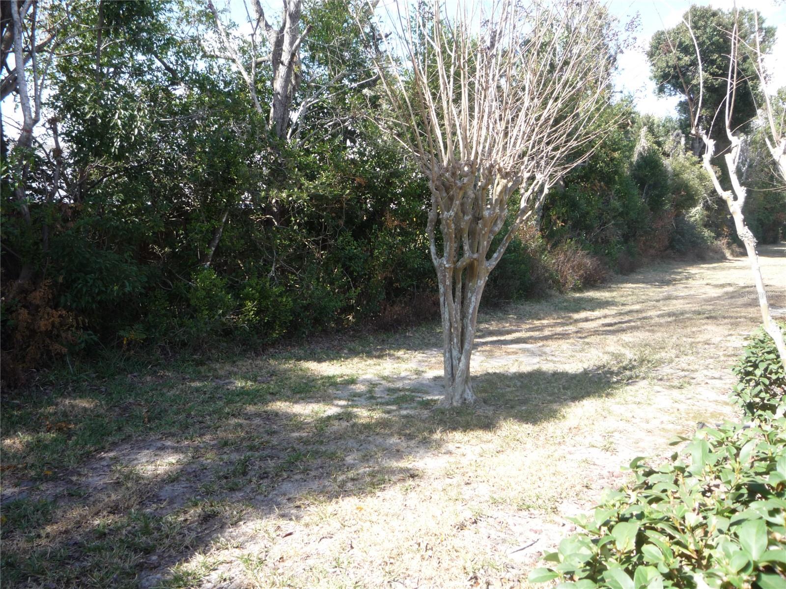101 GRAND PLAZA DR #F3, ORANGE CITY, FL — photo 10
