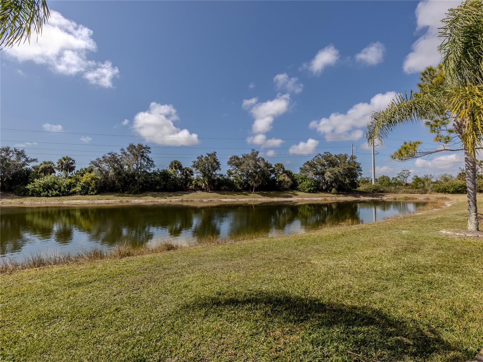 11500 DANCING RIVER DR, VENICE, FL — photo 5