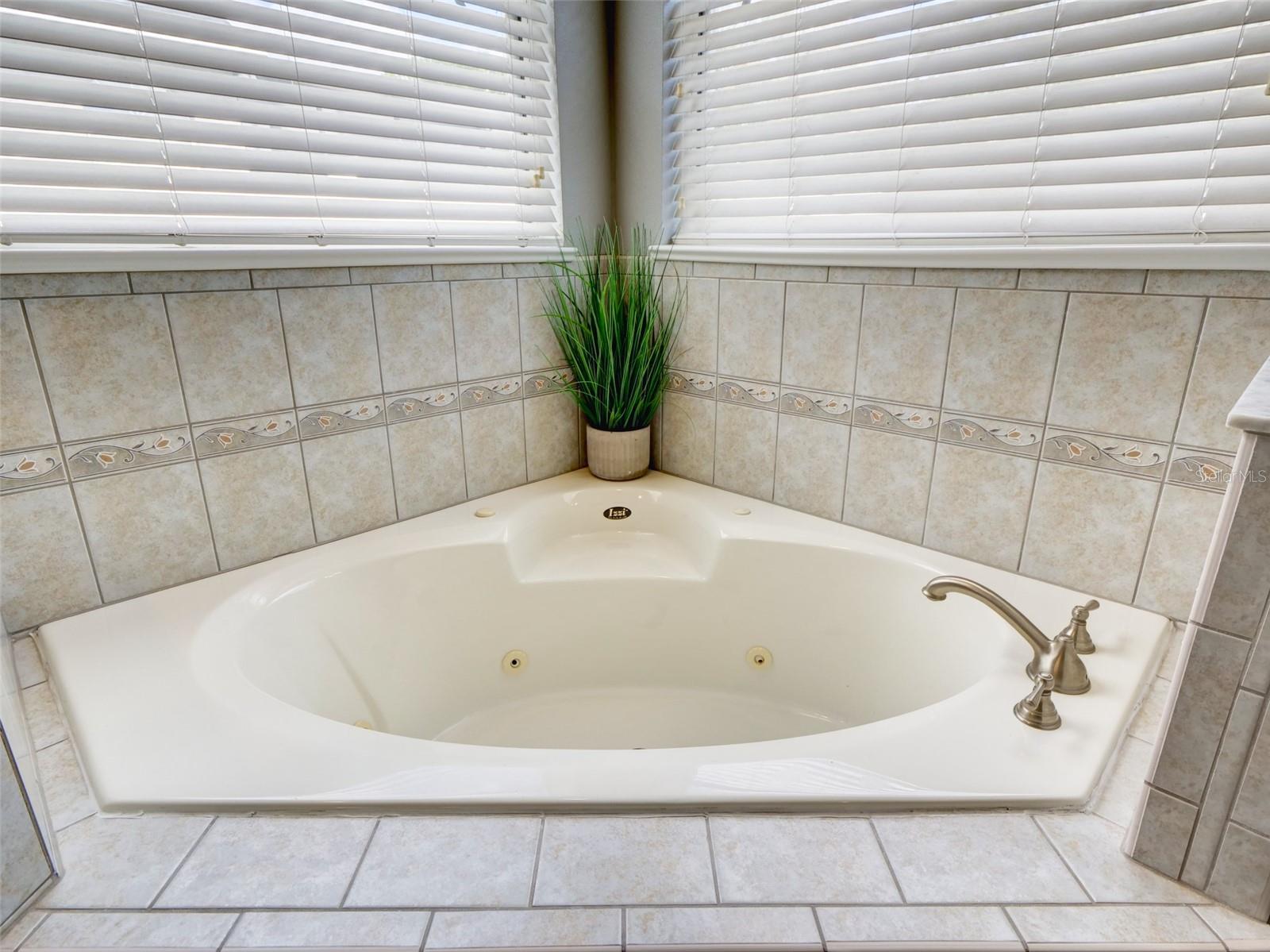 1450 MERION DR, MOUNT DORA, FL — photo 35