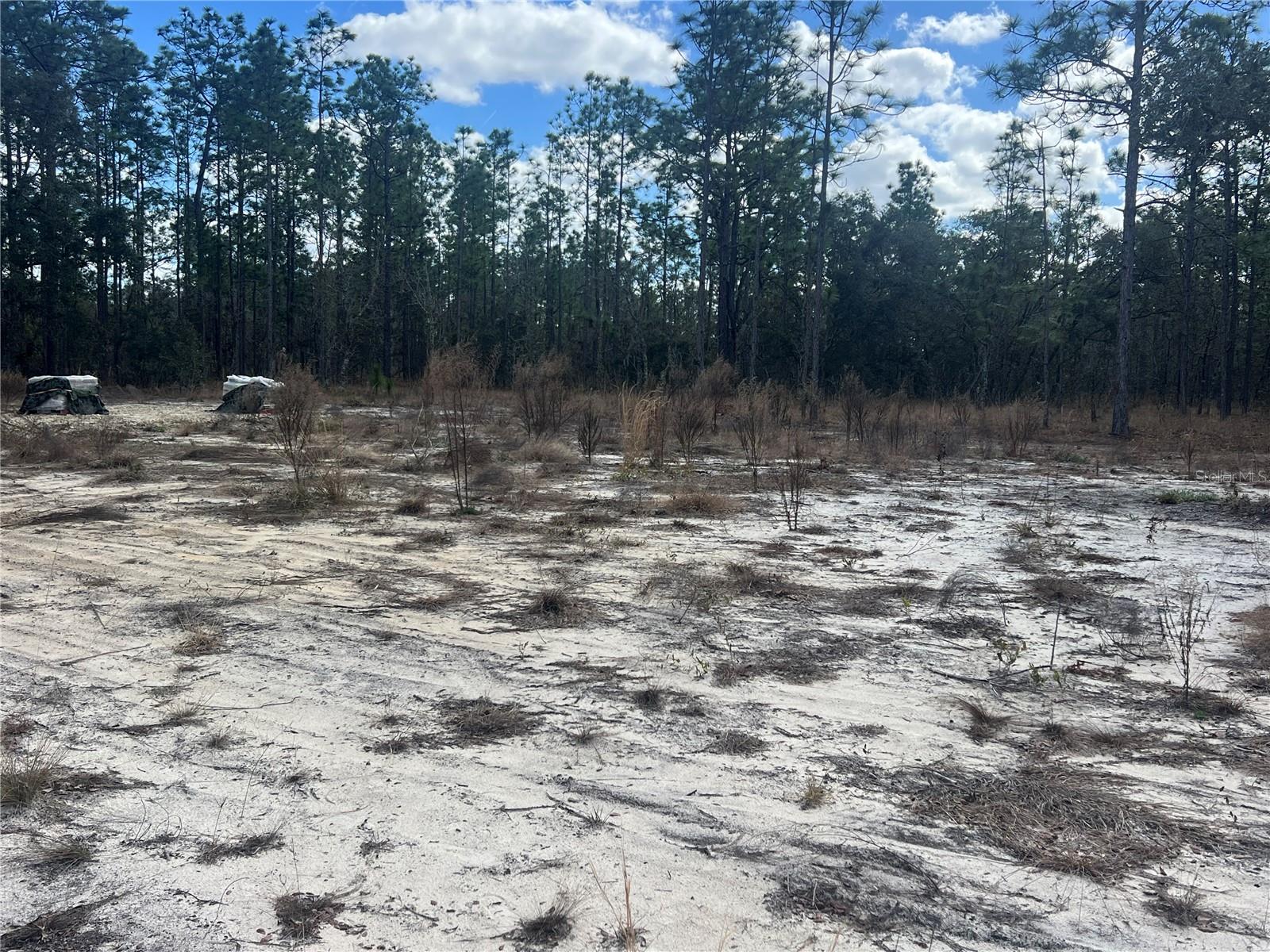 0000 SE 135TH CT SE, DUNNELLON, FL — photo 3
