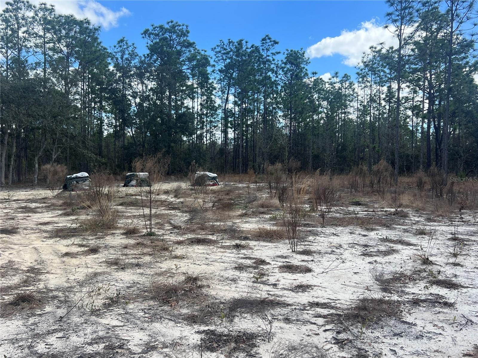 0000 SE 135TH CT SE, DUNNELLON, FL — photo 4
