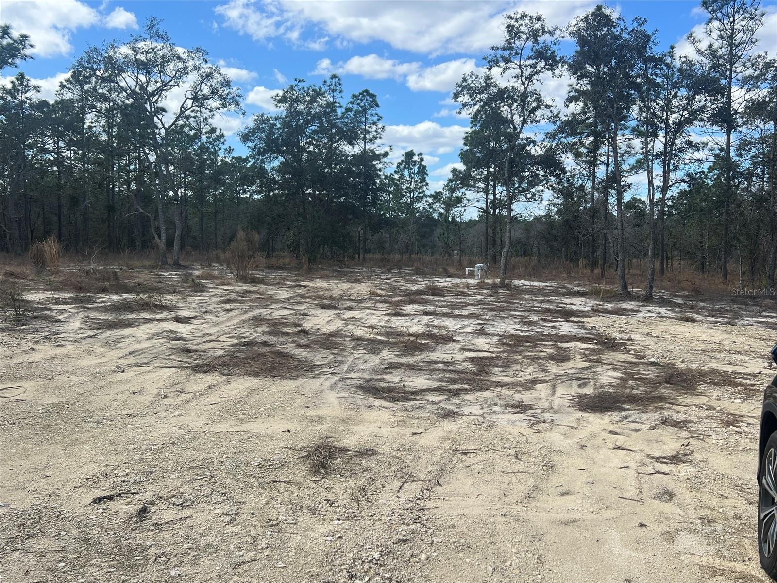 0000 SE 135TH CT SE, DUNNELLON, FL — photo 5