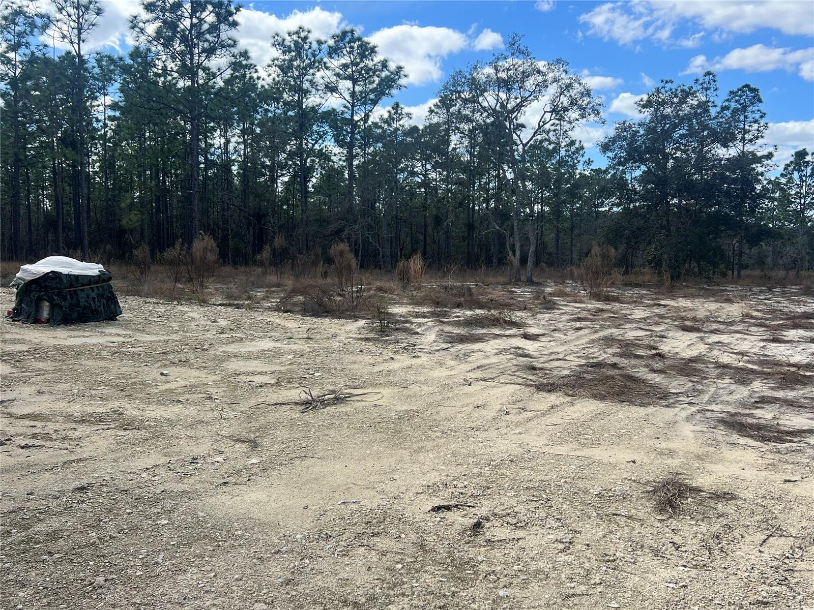 0000 SE 135TH CT SE, DUNNELLON, FL — photo 6