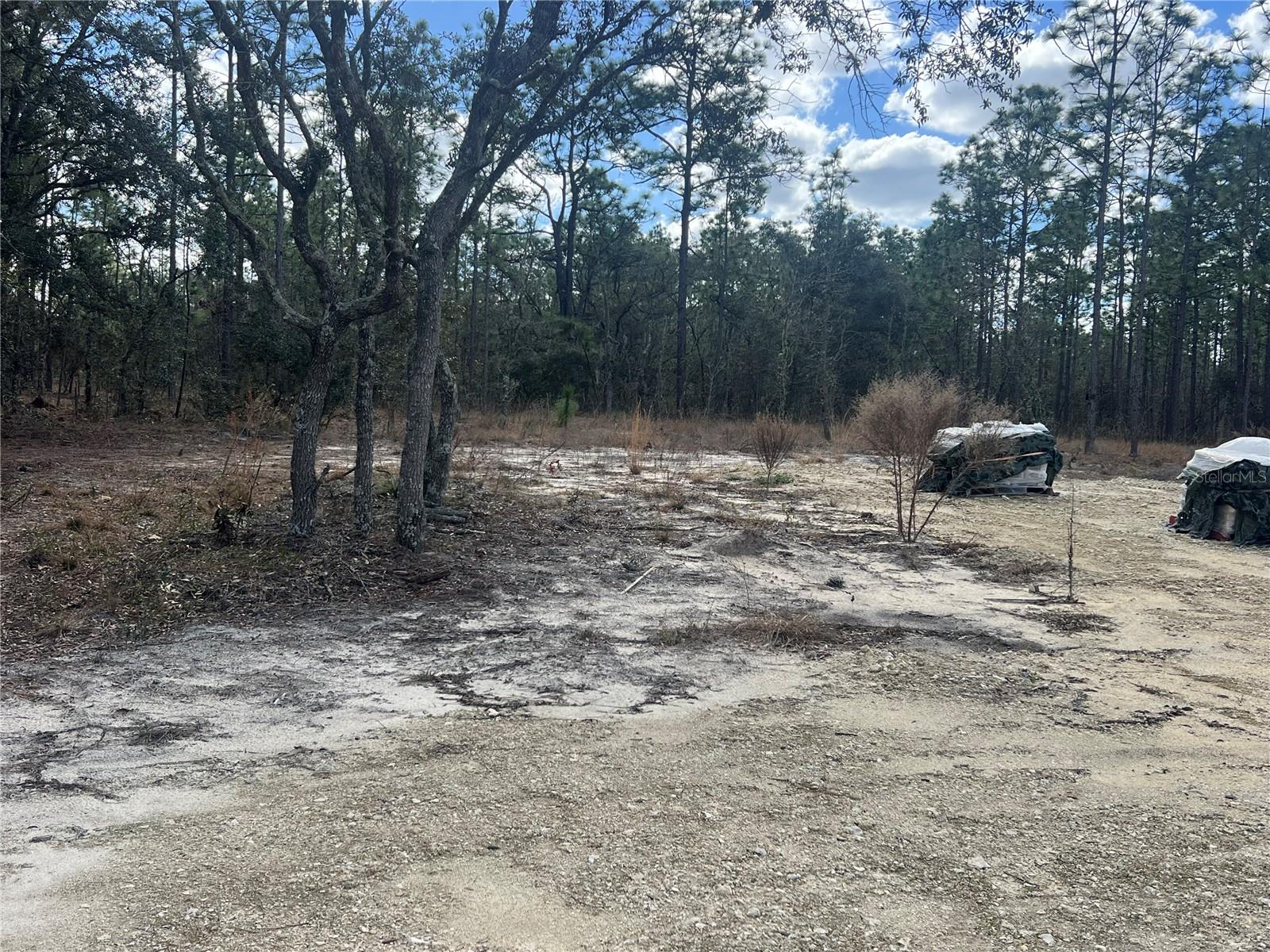 0000 SE 135TH CT SE, DUNNELLON, FL — photo 8