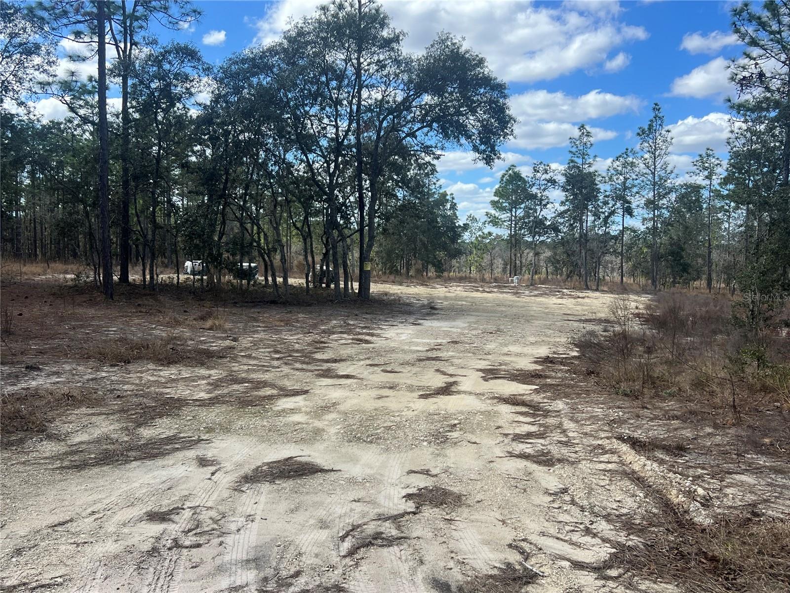 0000 SE 135TH CT SE, DUNNELLON, FL — photo 9