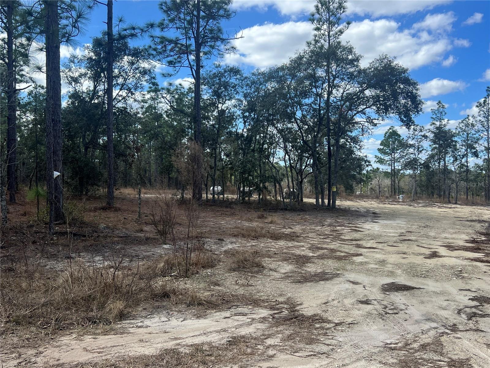 0000 SE 135TH CT SE, DUNNELLON, FL — photo 10
