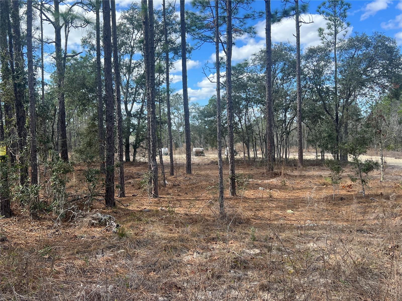 0000 SE 135TH CT SE, DUNNELLON, FL — photo 11