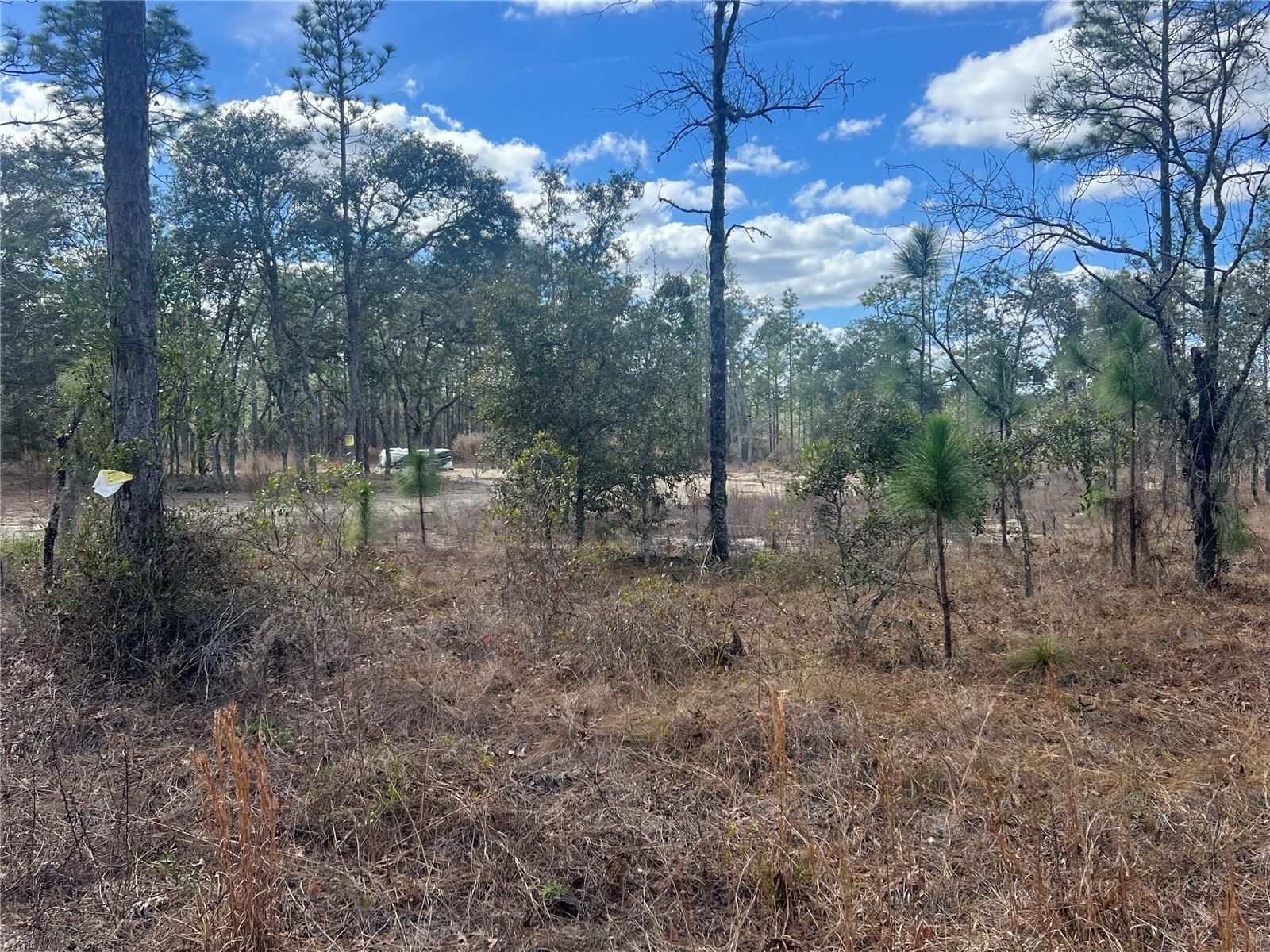 0000 SE 135TH CT SE, DUNNELLON, FL — photo 12