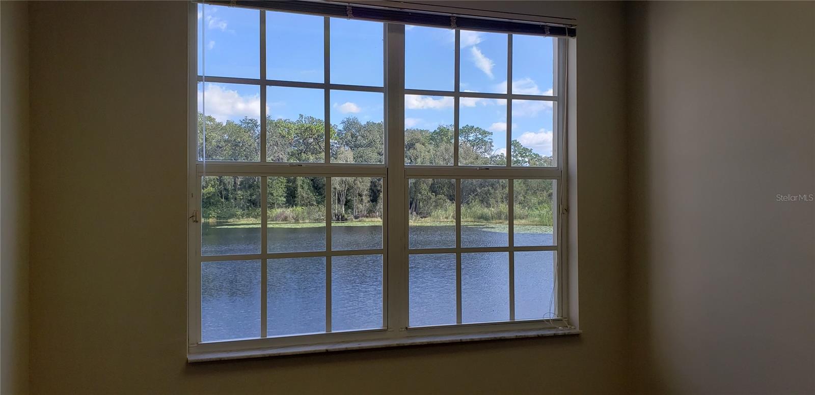 16013 N FLORIDA AVE, LUTZ, FL — photo 14