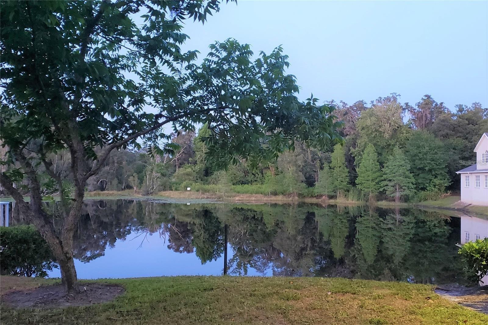 16013 N FLORIDA AVE, LUTZ, FL — photo 15