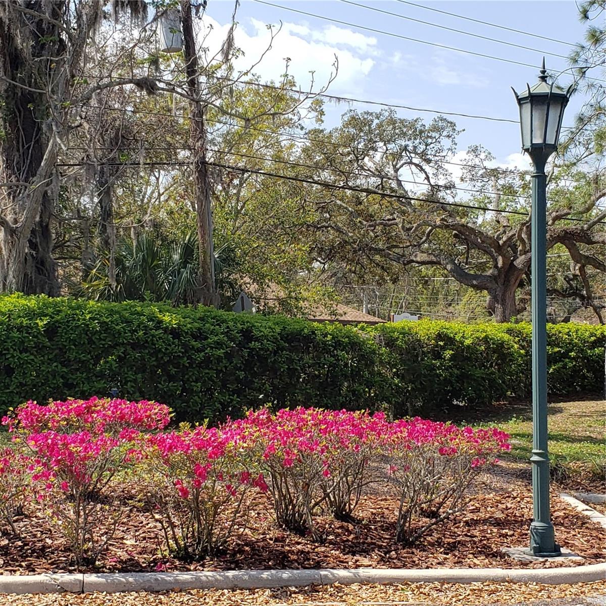 16013 N FLORIDA AVE, LUTZ, FL — photo 17