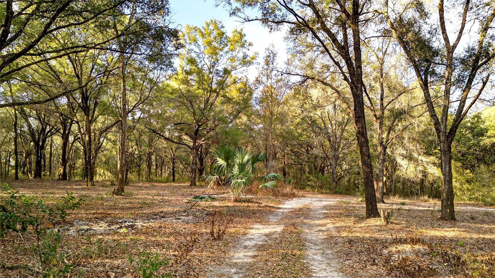 SE 180TH STREET, WEIRSDALE, FL