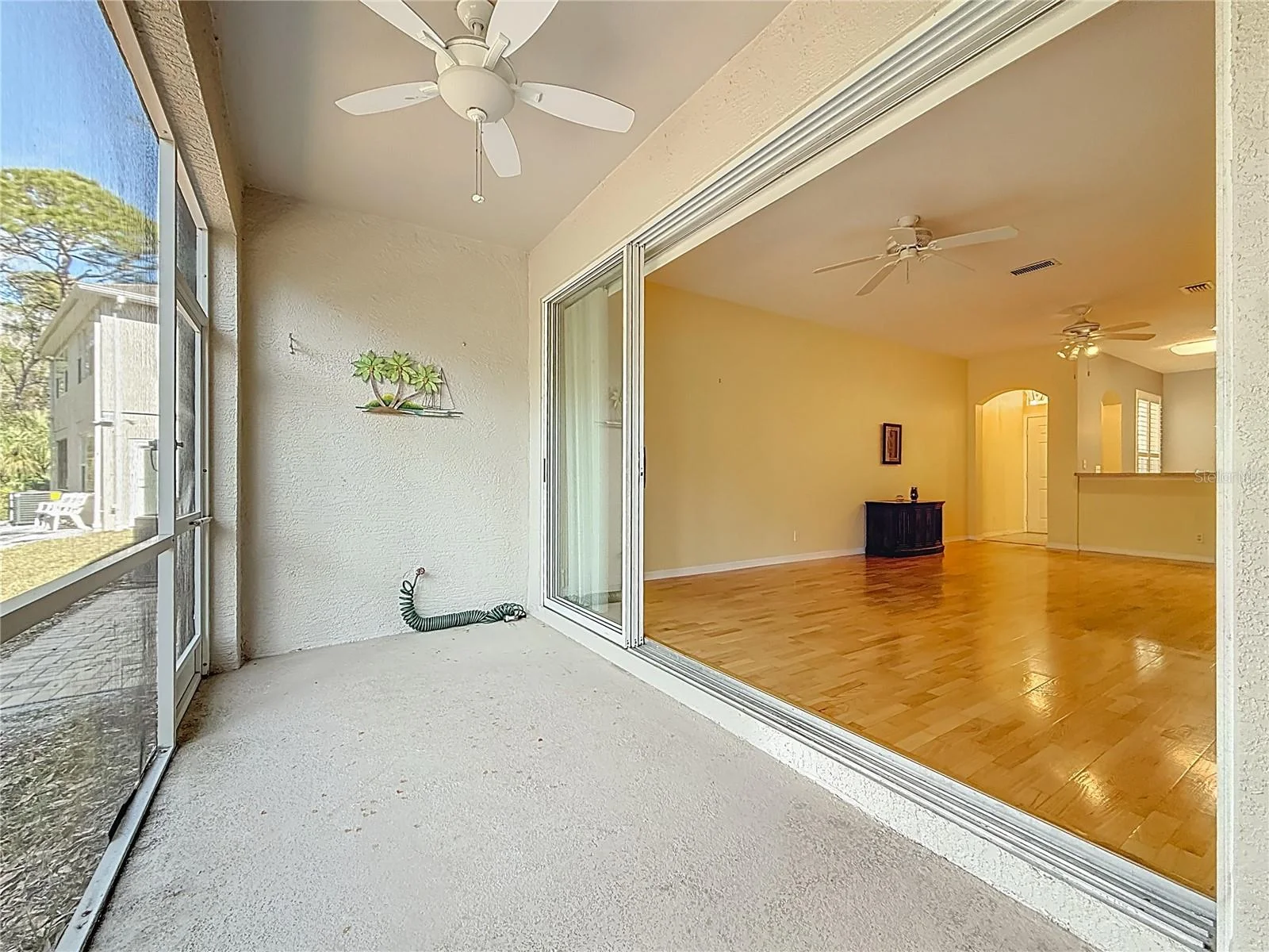 3589 COUNTRY POINTE PL, PALM HARBOR, FL — photo 13