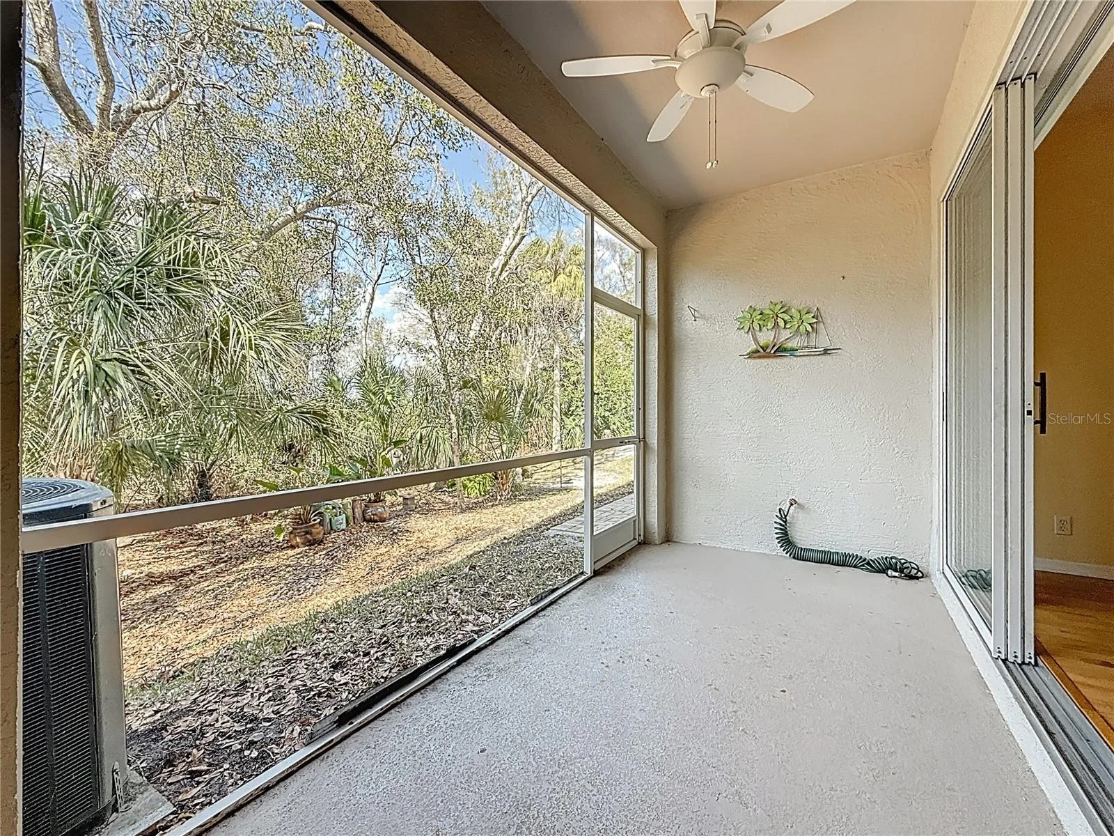 3589 COUNTRY POINTE PL, PALM HARBOR, FL — photo 14