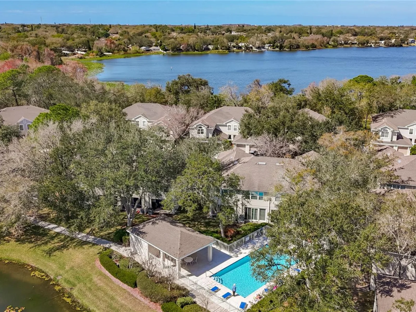 3589 COUNTRY POINTE PL, PALM HARBOR, FL — photo 31