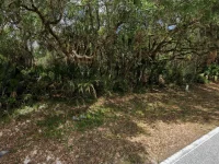 281 SHORELAND ST — photo 2