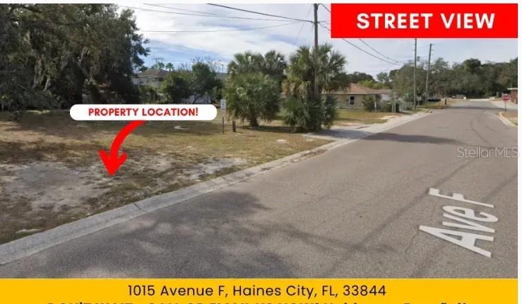 1015 AVENUE F, HAINES CITY, FL — photo 3