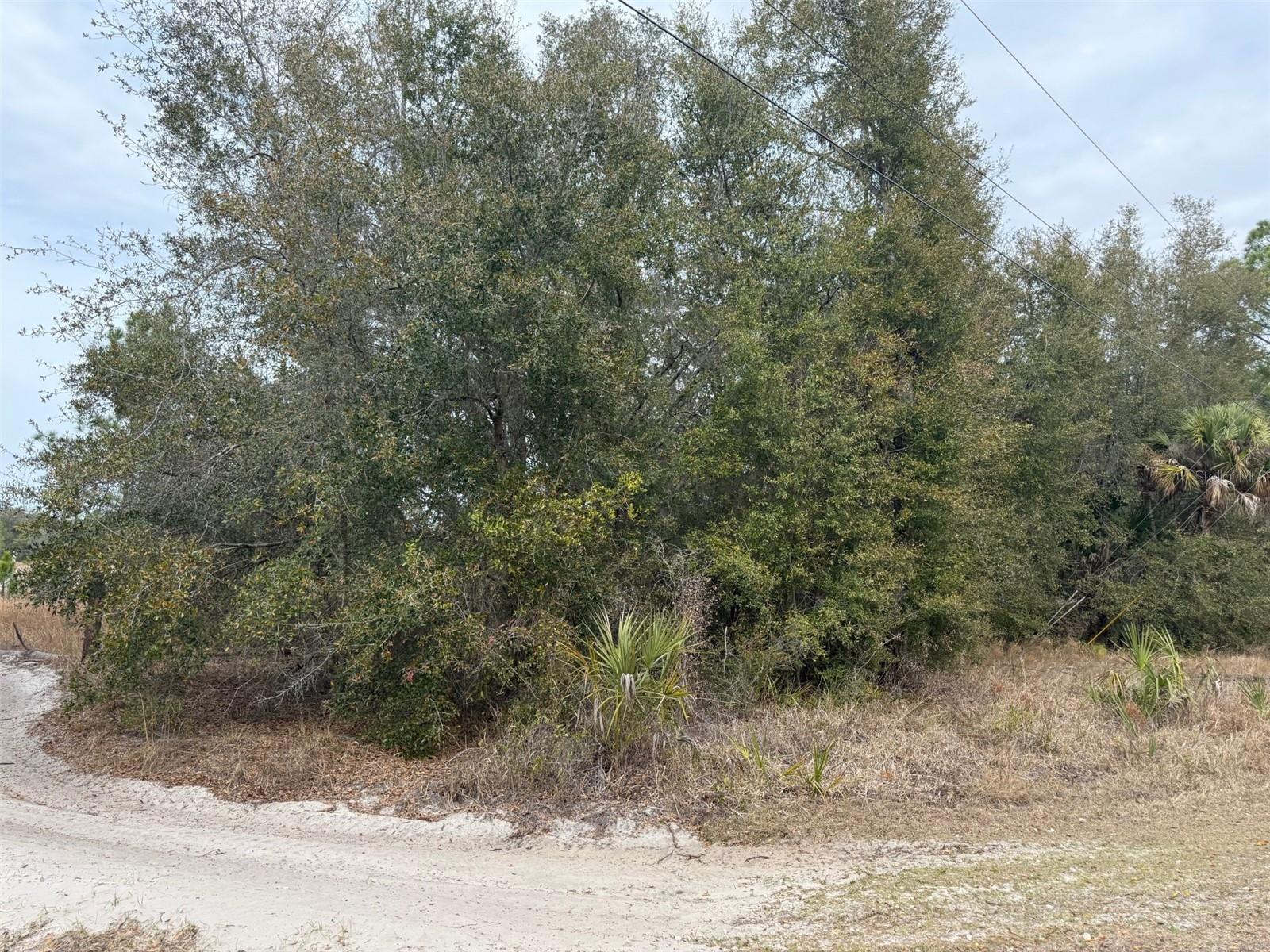 8309 N ODYSSEY DR, CRYSTAL RIVER, FL — photo 2