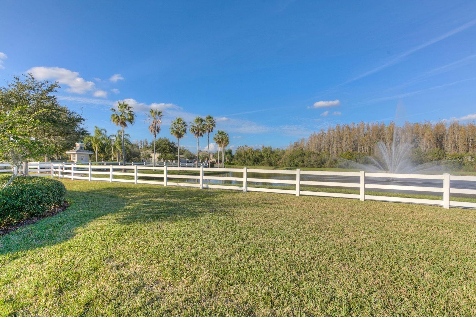 18110 TURTLE BEACH WAY, TAMPA, FL — photo 80